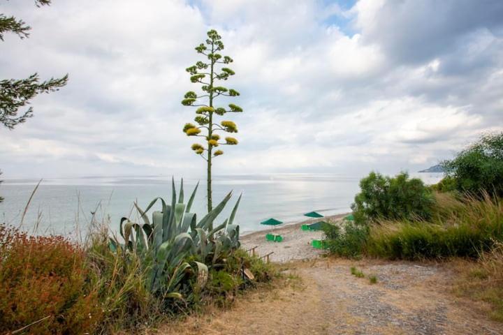 Mola Kaliva Sea View, 100M From The Beach! Extérieur photo